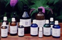 Winter Holidays Tune-Up of Body, Skin and Mind - Muscles and Ligaments and blood flow etc., - Everything SAVE $84